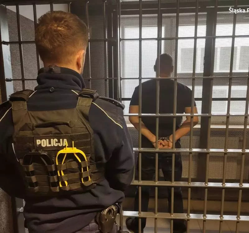 Tymczasowy areszt za kradzież rozbójniczą oraz zniszczenie mienia w Rybniku