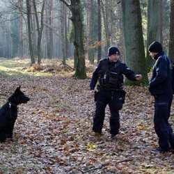 „Zaginięcie 2024” – Policja w akcji! Poszukiwania w rybnickim lesie zakończone sukcesem
