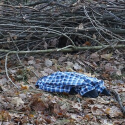 „Zaginięcie 2024” – Policja w akcji! Poszukiwania w rybnickim lesie zakończone sukcesem