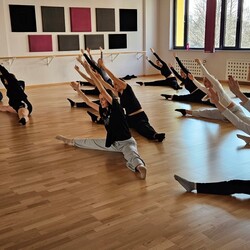 Reflex Winter Dance Workshop 2025.
