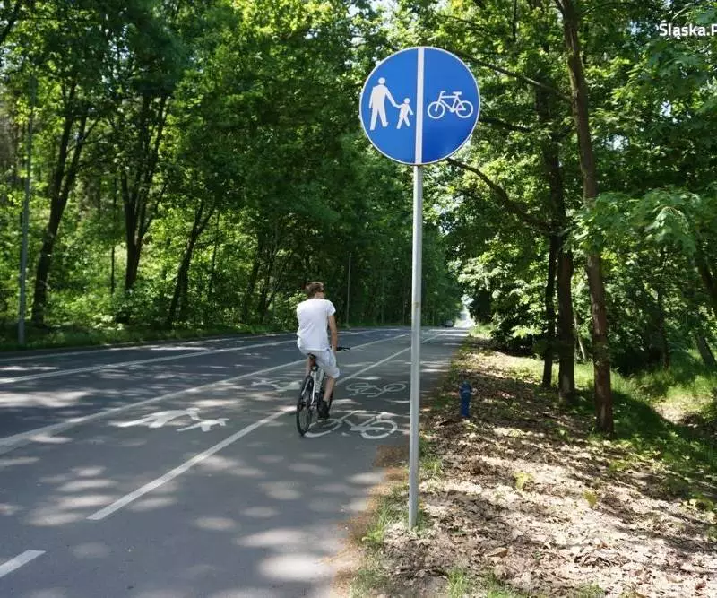Akcja "Bezpieczny cyklista" w Rybniku