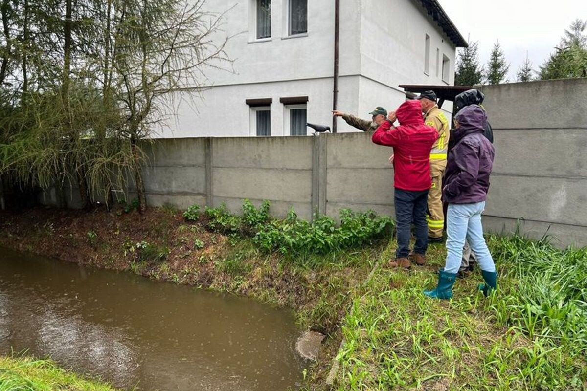 Intensywne opady deszczu Rybnik 2024 / fot. M. Michalska