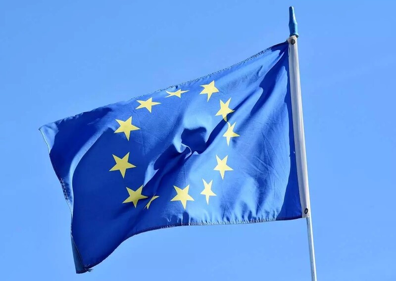 Jak rybniczanie głosowali w wyborach do Europarlamentu 2024?
