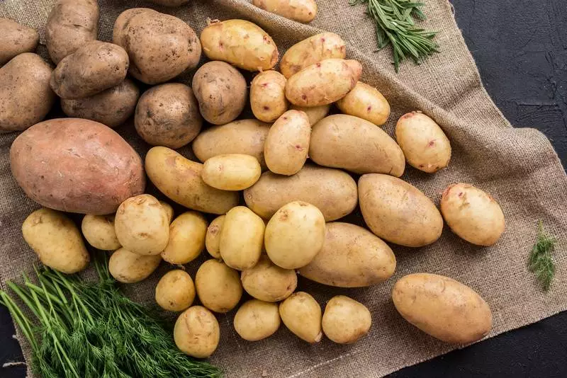 Jak wybrać najlepsze ziemniaki sadzeniaki? - poradnik dla początkujących ogrodników