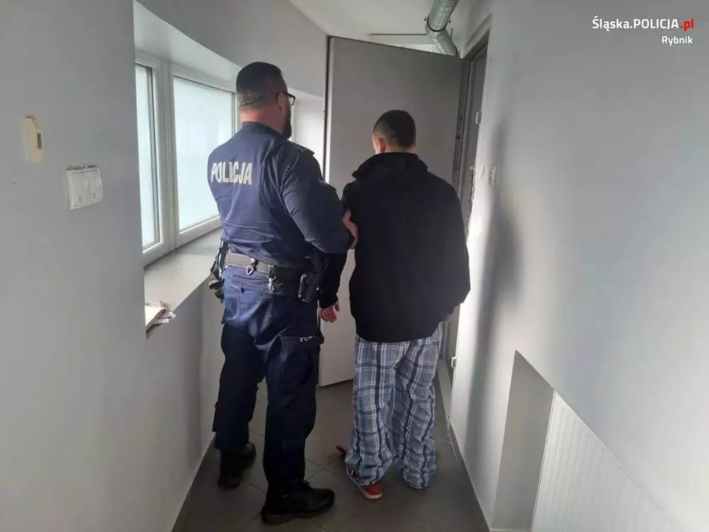 Kradzież rozbójnicza w Rybniku. Mężczyźni trafili do aresztu / fot. KMP Rybnik
