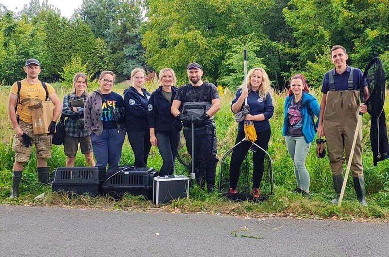 Nutrie w Rybniku pod opieką – działania Pet Patrolu i społeczników