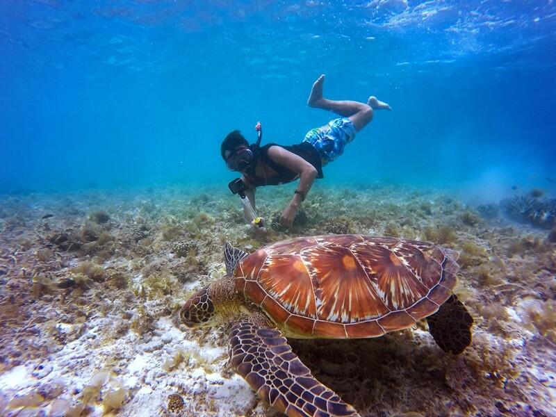Podwodne przygody: Jaki sprzęt do snorkelingu?