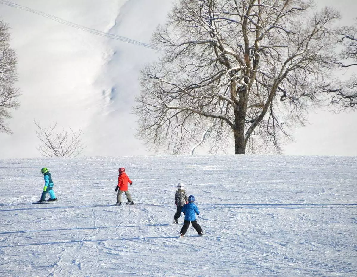 Przedszkole narciarskie - sposób na udane ferie zimowe