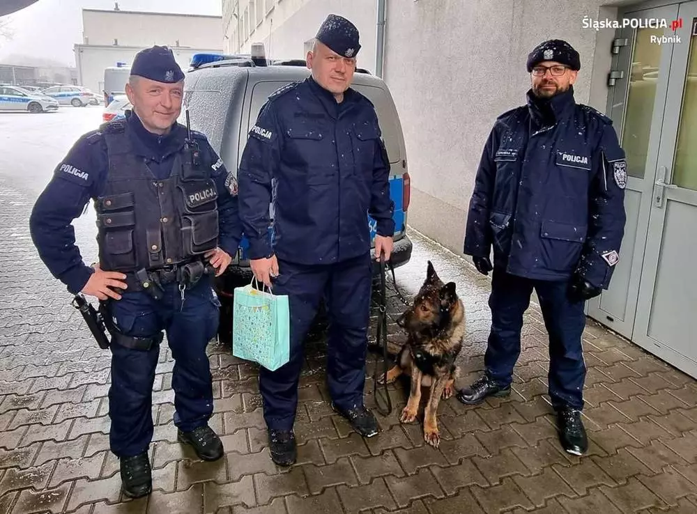 Razem przechodzą na emeryturę. Historia policjanta i jego psa "Ibajona" / fot. KMP Rybnik