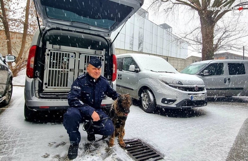 Razem przechodzą na emeryturę. Historia policjanta i jego psa "Ibajona"