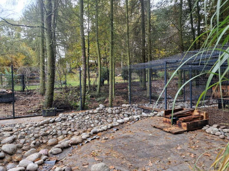 Rybniczanie rozbudowują Nutriowisko. Wolontariat nabiera rozpędu