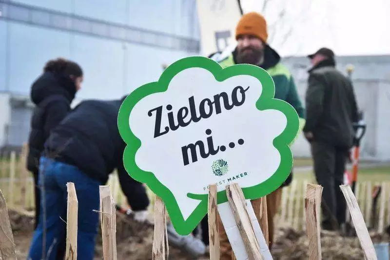 Rybnik zasadza swój pierwszy Las Miyawaki – przyszłość zieleni w mieście