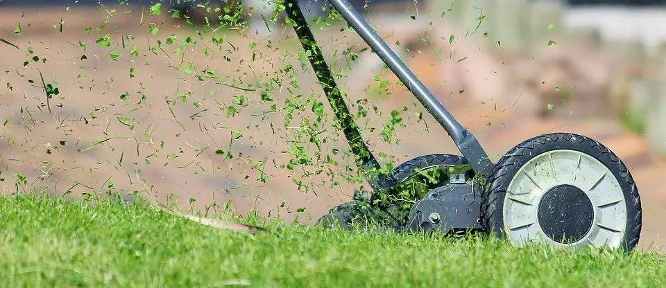 WOŚP: Prezydent Rybnika skosi twój trawnik / fot. Pixabay
