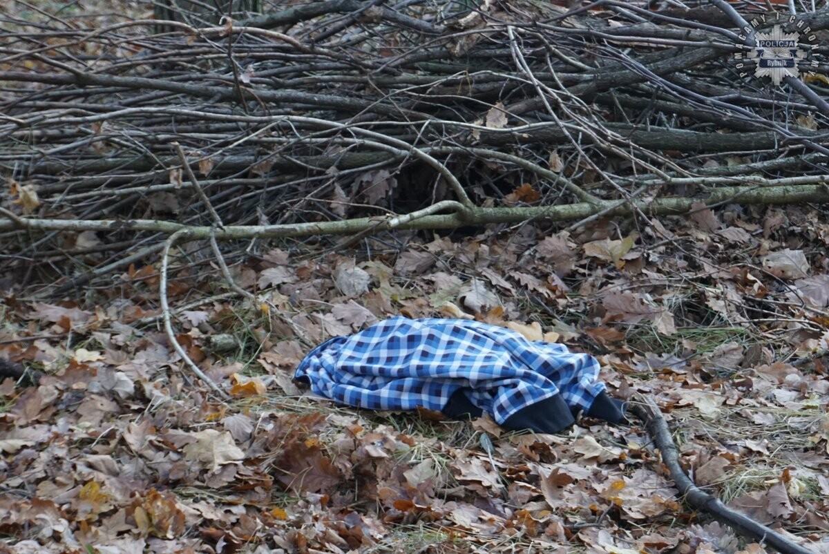 „Zaginięcie 2024” – Policja w akcji! Poszukiwania w rybnickim lesie zakończone sukcesem