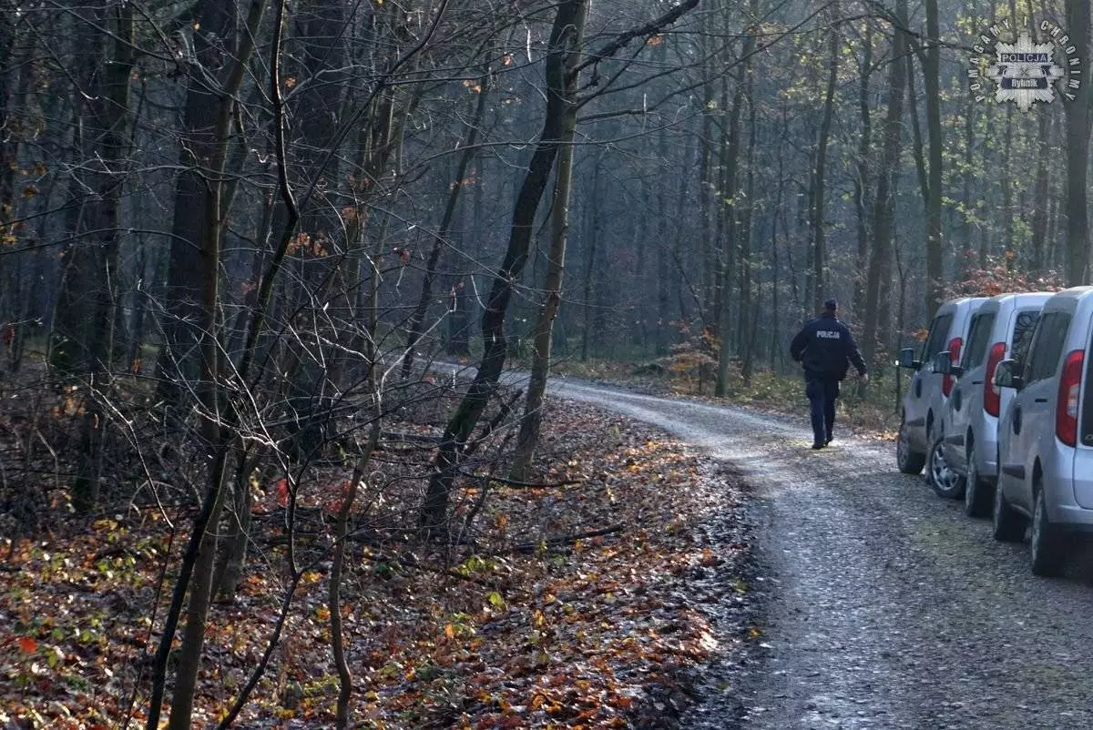 „Zaginięcie 2024” – Policja w akcji! Poszukiwania w rybnickim lesie zakończone sukcesem